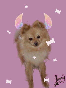 Mon premier gif anim�!