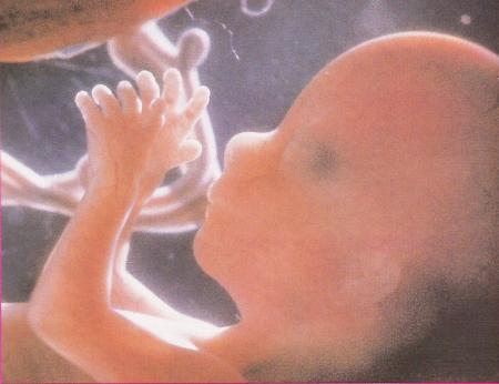 9 mois pour pr�parer un enfant